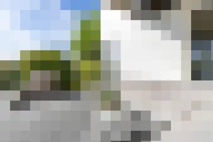 De Grasjuffer 2 Eelderwolde thumbnail 60