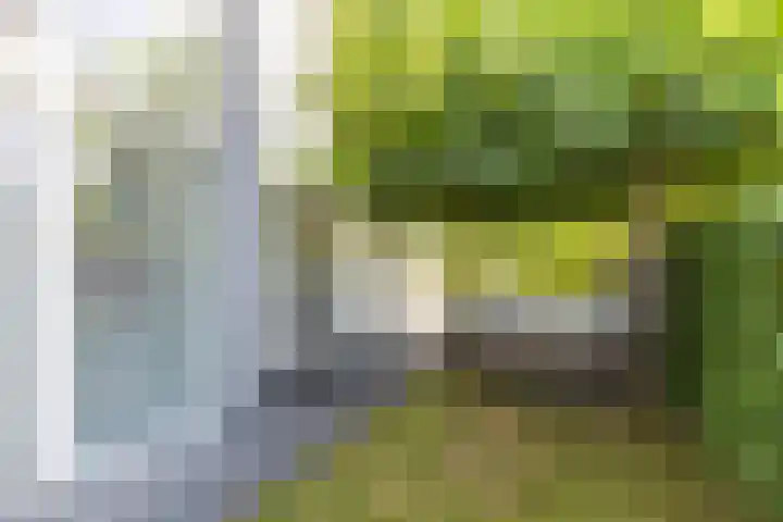 De Grasjuffer 2 Eelderwolde thumbnail 61
