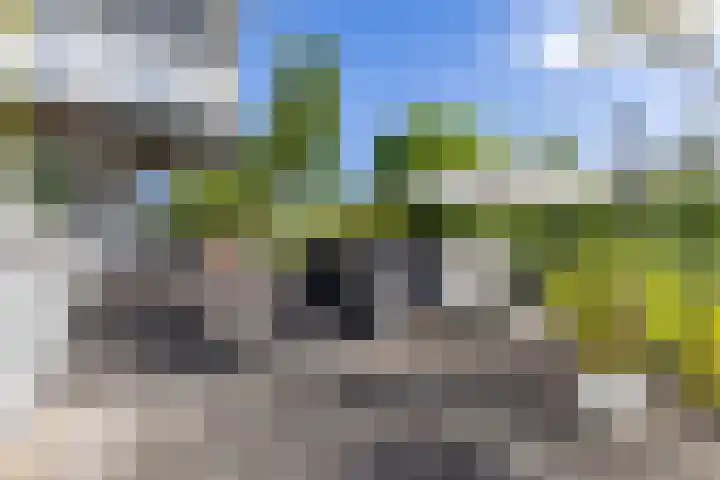 De Grasjuffer 2 Eelderwolde thumbnail 64
