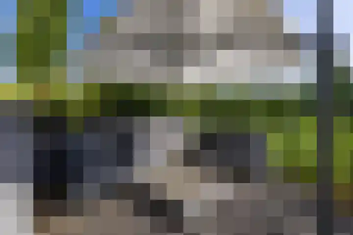 De Grasjuffer 2 Eelderwolde thumbnail 65
