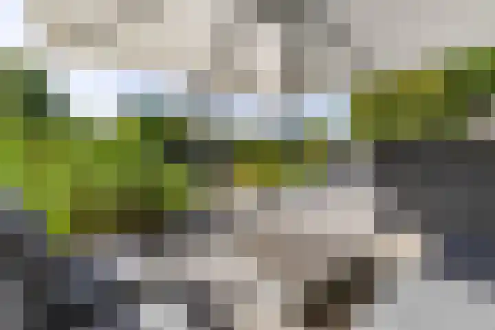 De Grasjuffer 2 Eelderwolde thumbnail 66
