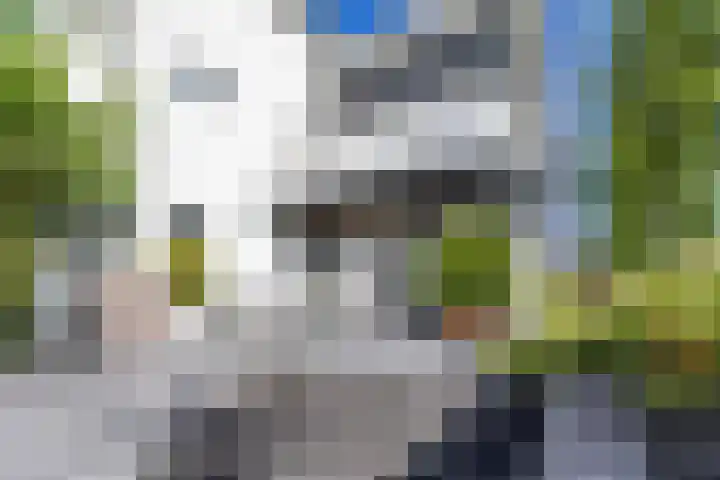 De Grasjuffer 2 Eelderwolde thumbnail 68