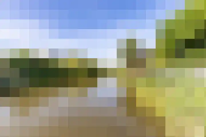 De Grasjuffer 2 Eelderwolde thumbnail 72