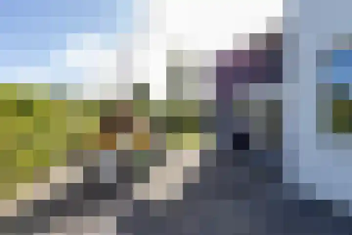 De Grasjuffer 2 Eelderwolde thumbnail 74
