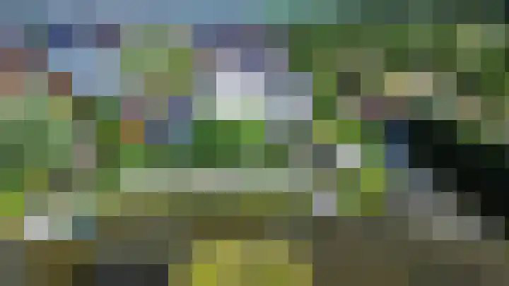 De Grasjuffer 2 Eelderwolde thumbnail 77