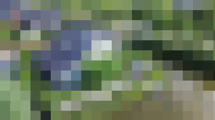 De Grasjuffer 2 Eelderwolde thumbnail 78