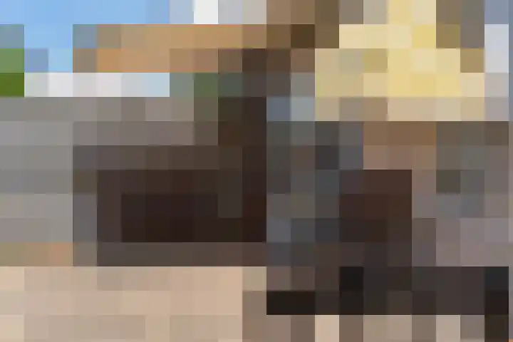 De Graspieper 41 Almelo thumbnail 12