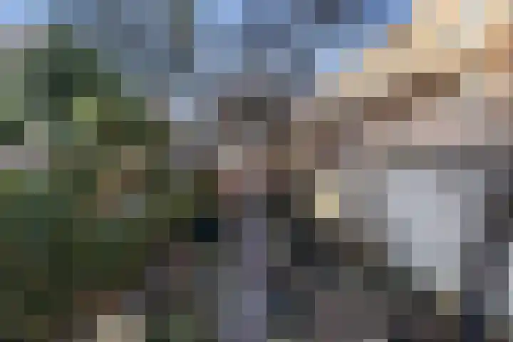 De Graspieper 41 Almelo thumbnail 18