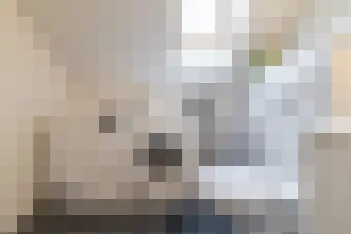 De Graspieper 41 Almelo thumbnail 19