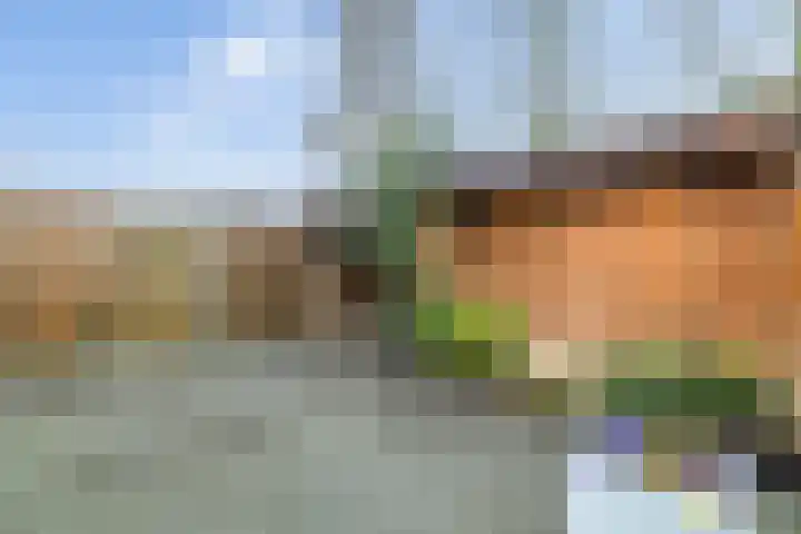 De Graspieper 41 Almelo thumbnail 24
