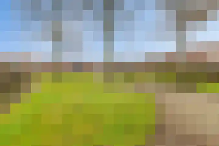 De Graspieper 41 Almelo thumbnail 27