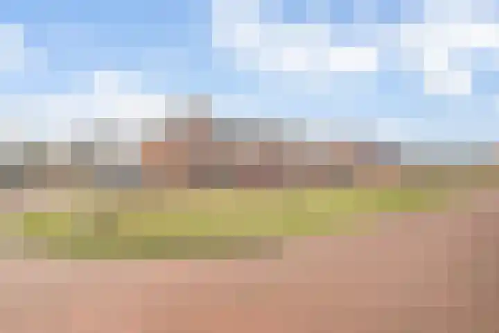 De Graspieper 41 Almelo thumbnail 5
