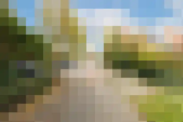 De Graspieper 41 Almelo thumbnail 7