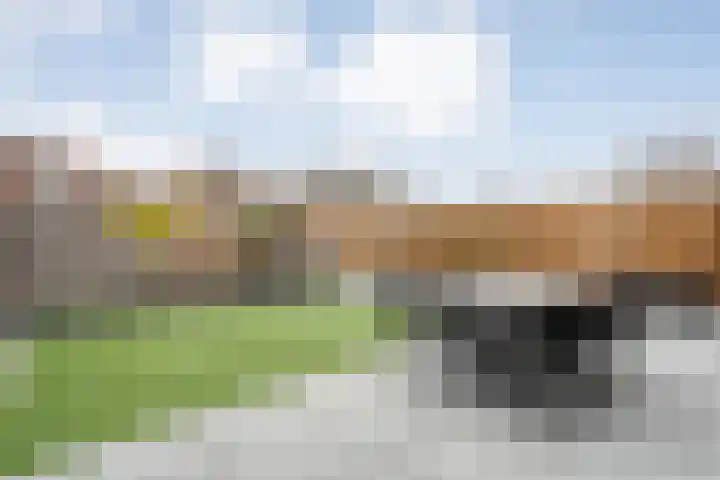 De Graspieper 61 Almelo thumbnail 19