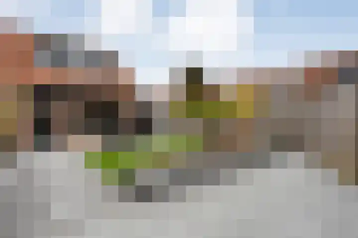 De Graspieper 61 Almelo thumbnail 23