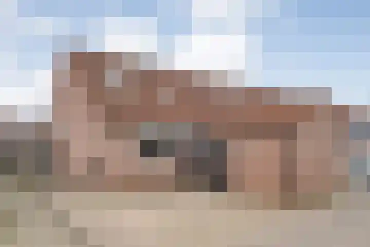 De Graspieper 61 Almelo thumbnail 25