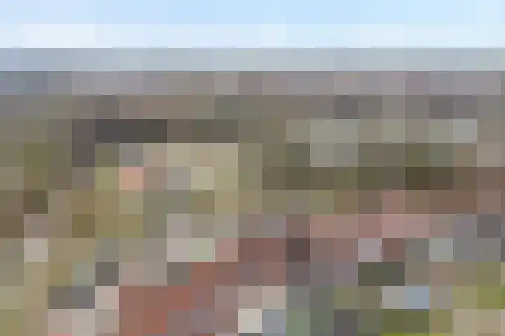 De Graspieper 61 Almelo thumbnail 28