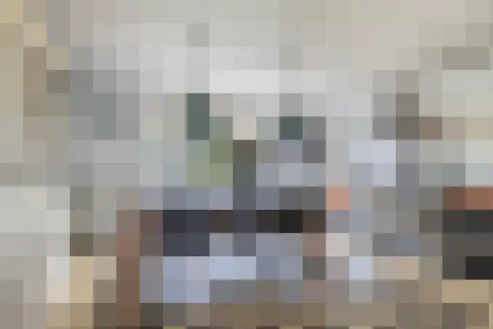 De Grêft 3 Mantgum thumbnail 19