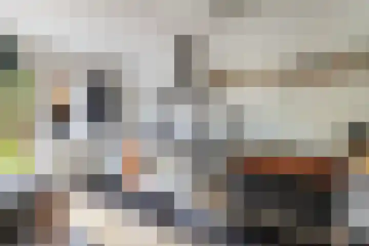 De Grêft 3 Mantgum thumbnail 24