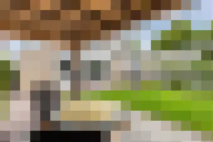 De Grêft 3 Mantgum thumbnail 4