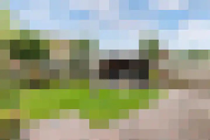 De Grêft 3 Mantgum thumbnail 49
