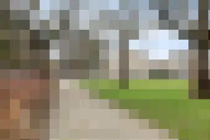 de Greide 59 Eindhoven thumbnail 48