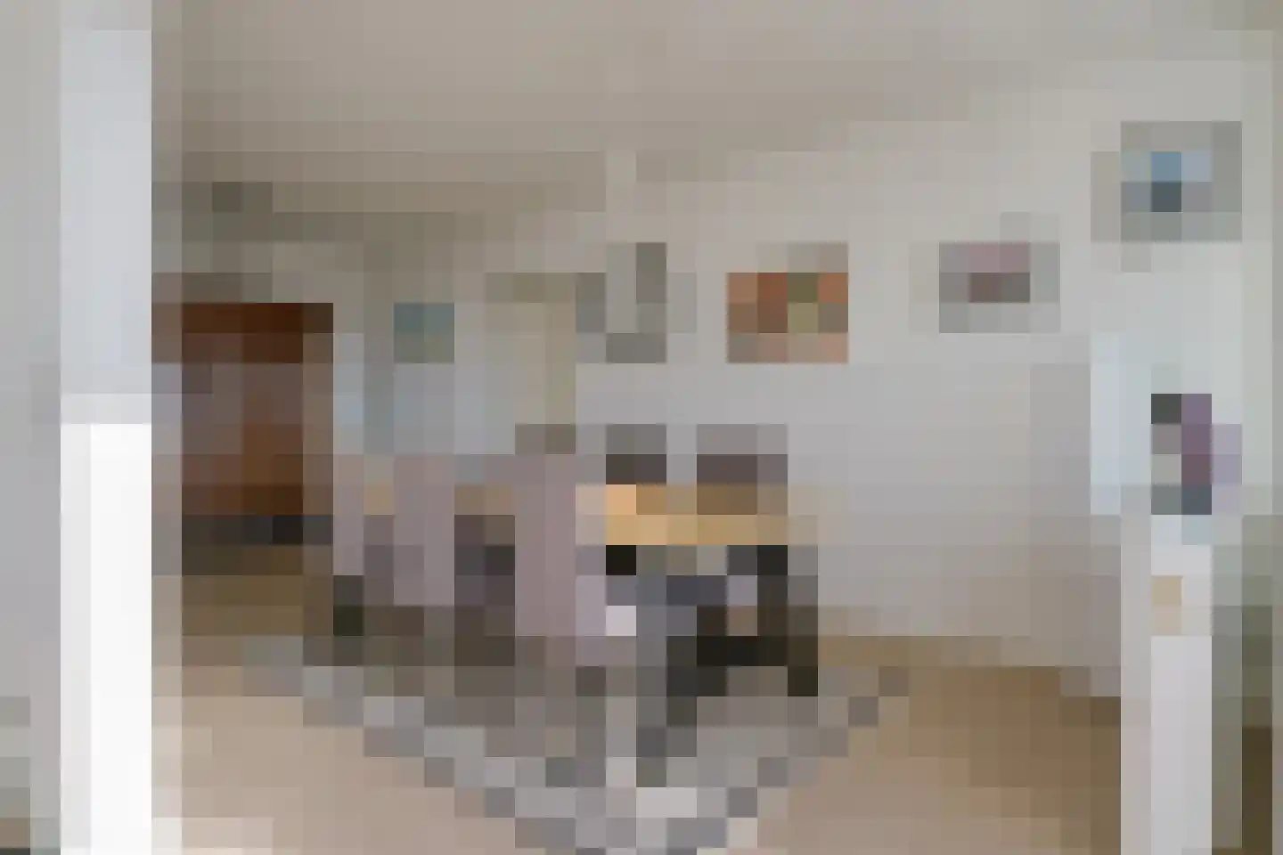 de Greide 61 Eindhoven thumbnail 39