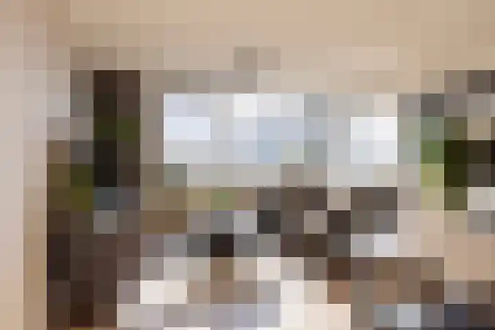 de Greide 63 Eindhoven thumbnail 14
