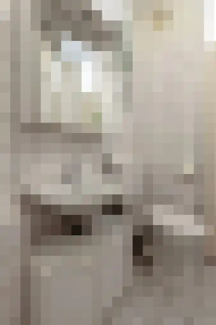 de Greide 63 Eindhoven thumbnail 26