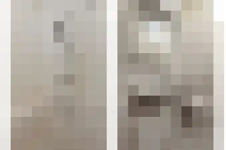 de Greide 63 Eindhoven thumbnail 28