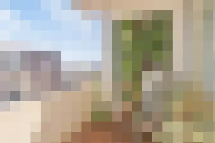de Greide 63 Eindhoven thumbnail 5