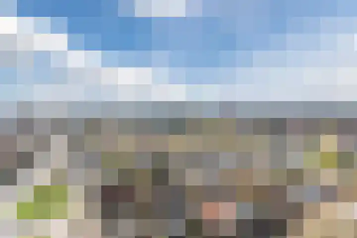 de Greide 75 Eindhoven thumbnail 38