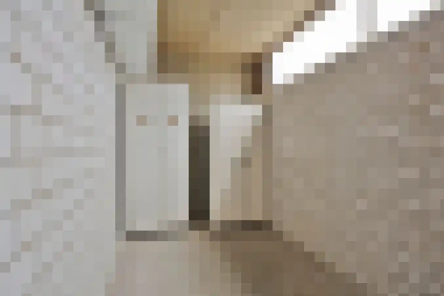 de Greide 83 Eindhoven thumbnail 29