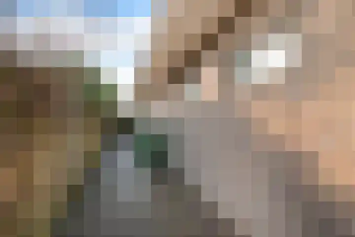 De Greiden 14 Britsum thumbnail 10