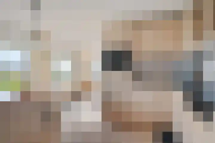 De Greiden 14 Britsum thumbnail 26