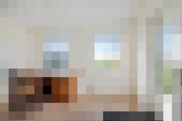 De Greiden 14 Britsum thumbnail 29