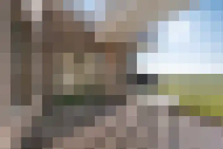 De Greiden 14 Britsum thumbnail 35