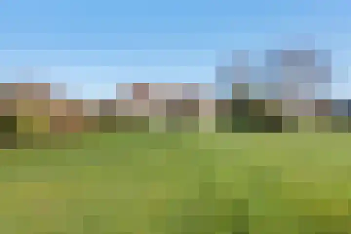 De Greiden 14 Britsum thumbnail 38