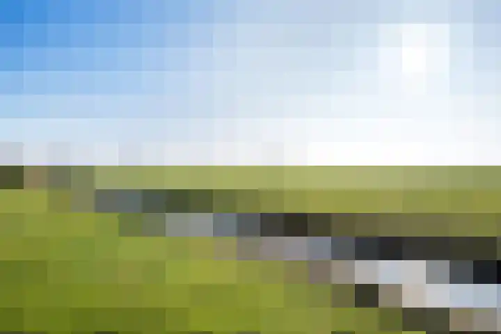 De Greiden 14 Britsum thumbnail 39