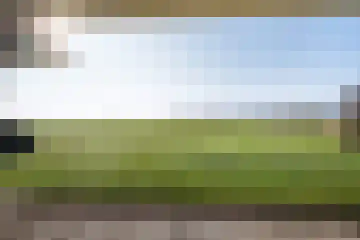 De Greiden 14 Britsum thumbnail 4