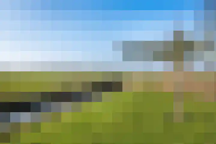 De Greiden 14 Britsum thumbnail 40
