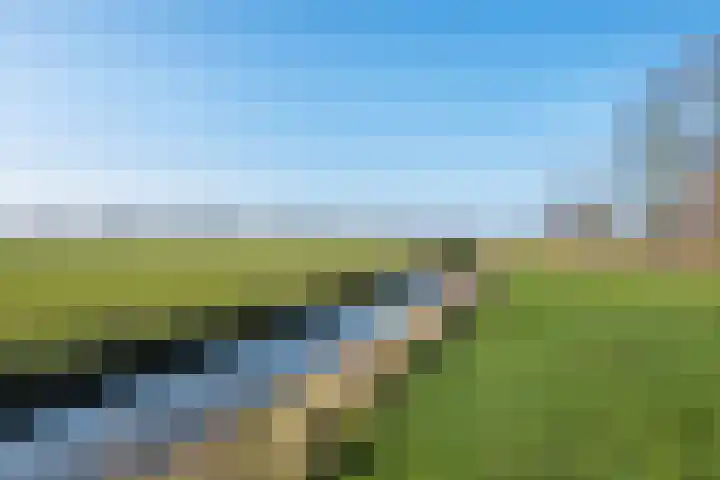 De Greiden 14 Britsum thumbnail 42