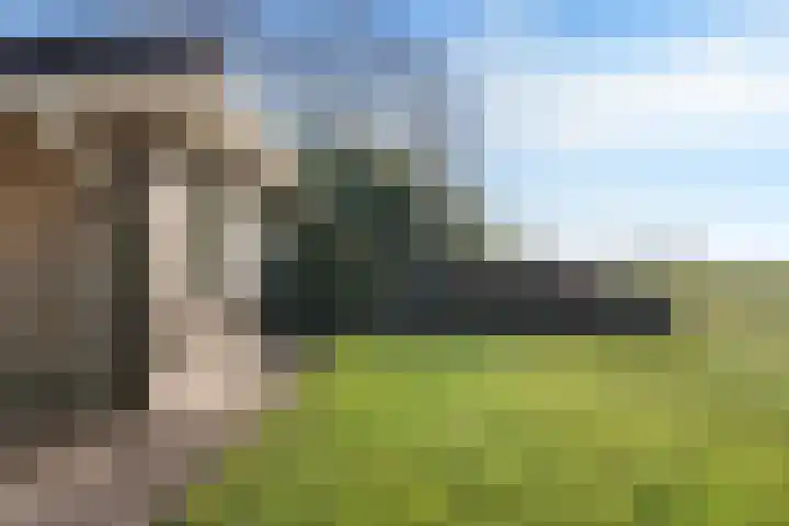 De Greiden 14 Britsum thumbnail 44
