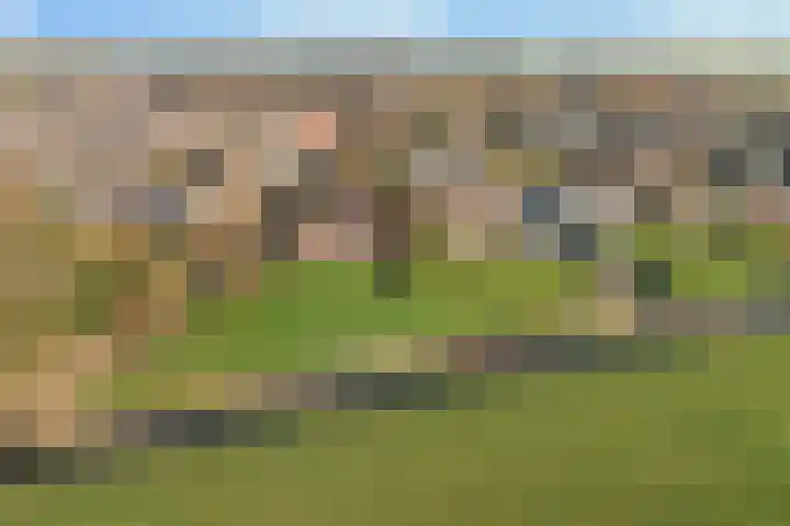 De Greiden 14 Britsum thumbnail 46