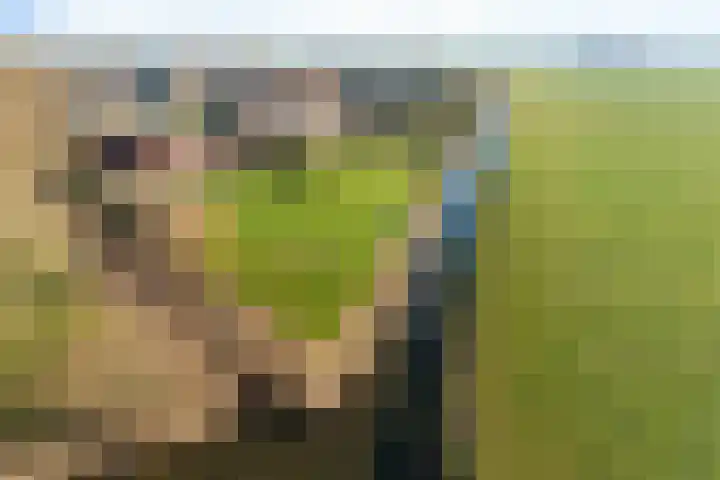 De Greiden 14 Britsum thumbnail 47