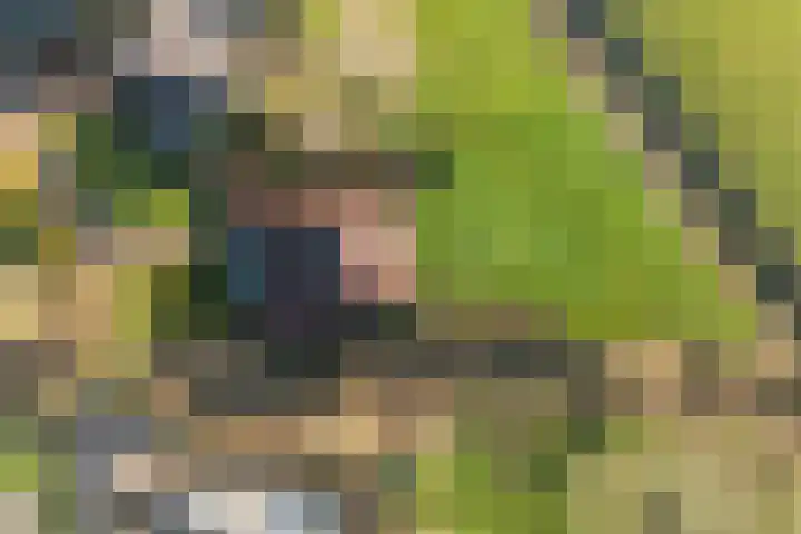 De Greiden 14 Britsum thumbnail 48