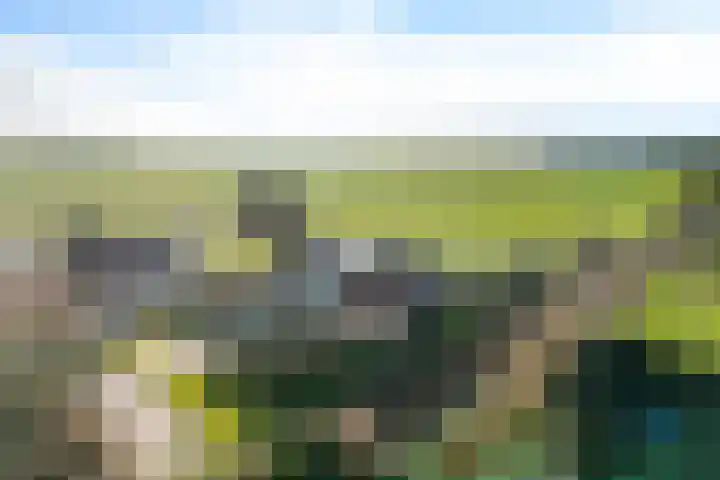 De Greiden 14 Britsum thumbnail 49