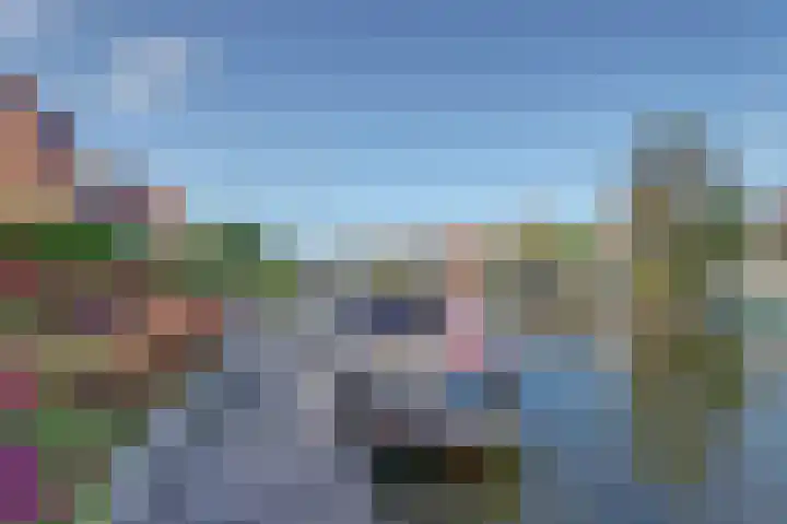 De Greiden 36 Indijk thumbnail 25