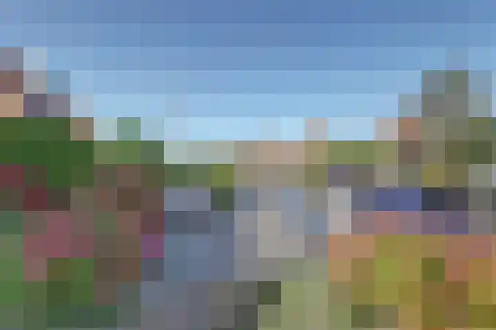 De Greiden 36 Indijk thumbnail 27