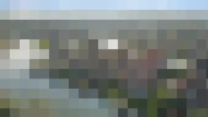De Greiden 36 Indijk thumbnail 30